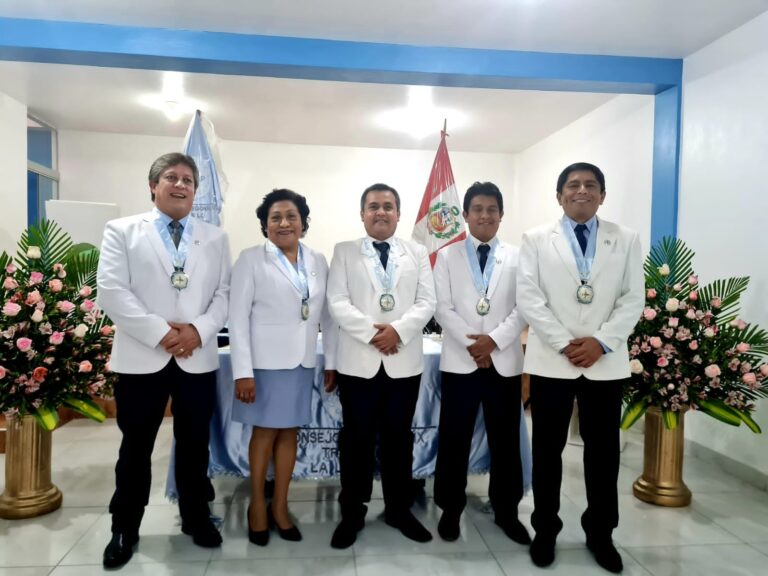 Consejo Regional IX